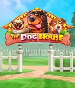 From Pragmatic Play comes The Dog House Slot, bringing you a delightful experience through lovable dogs. Discover gameplay elements such as multipliers, designed for providing entertaining gameplay. Ideal for animal enthusiasts a cheerful setting and the opportunity to win big.