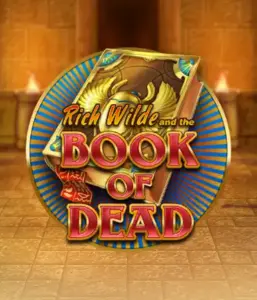 Enter the thrilling world of Book of Dead Slot by Play'n GO, featuring vivid graphics of Rich Wilde's journey through ancient Egyptian tombs and artifacts. Discover lost riches with engaging mechanics like free spins, expanding icons, and a gamble option. Ideal for adventure seekers with a desire for thrilling discoveries.